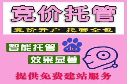 百度SEM广告投放中的数据监测与优化